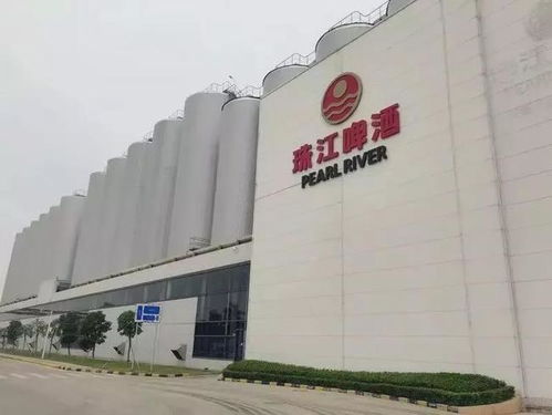 南沙崛起 廣州下一個琶醍，商務信息咨詢新機遇